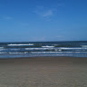 Meet your Posher, Van